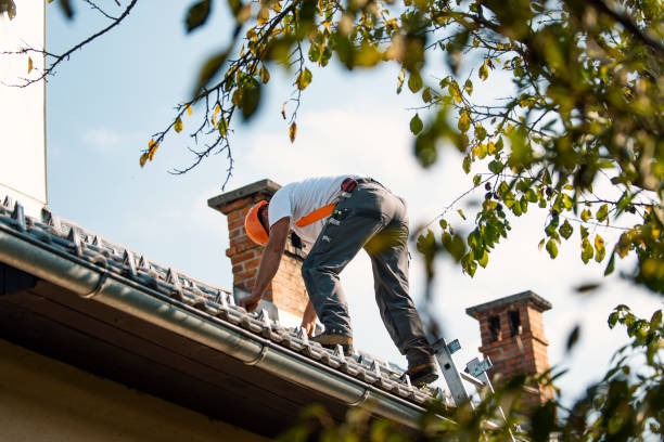 Best Roof Leak Repair  in Ilco, WA