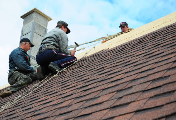 Best New Roof Installation  in Ilco, WA
